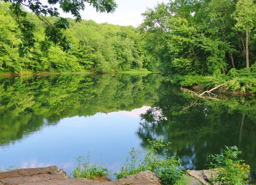 Robinson State Park, Massachusetts, USA